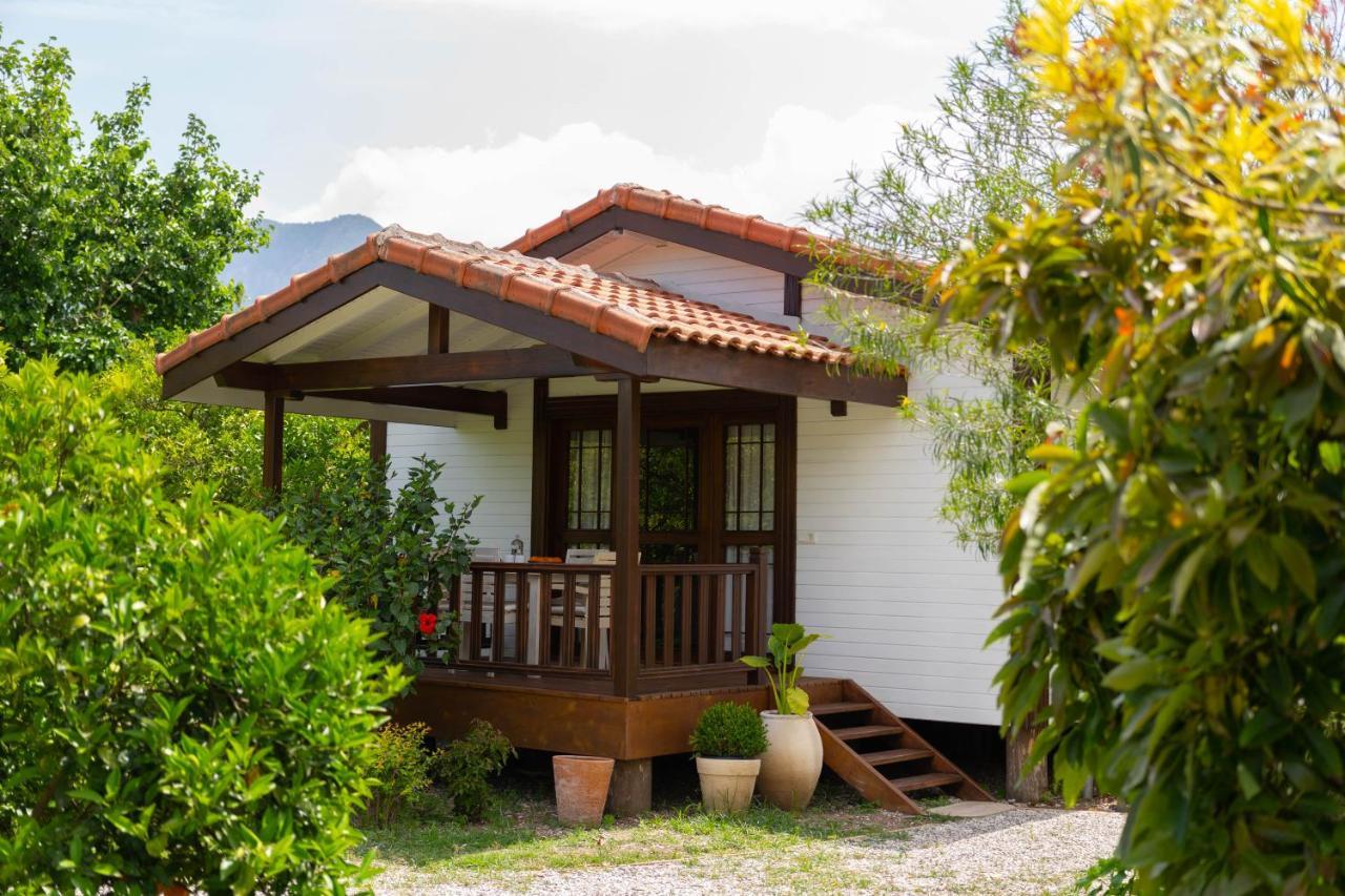 Kimera - Akdeniz Bahcesi Apart Hotel Çıralı 외부 사진
