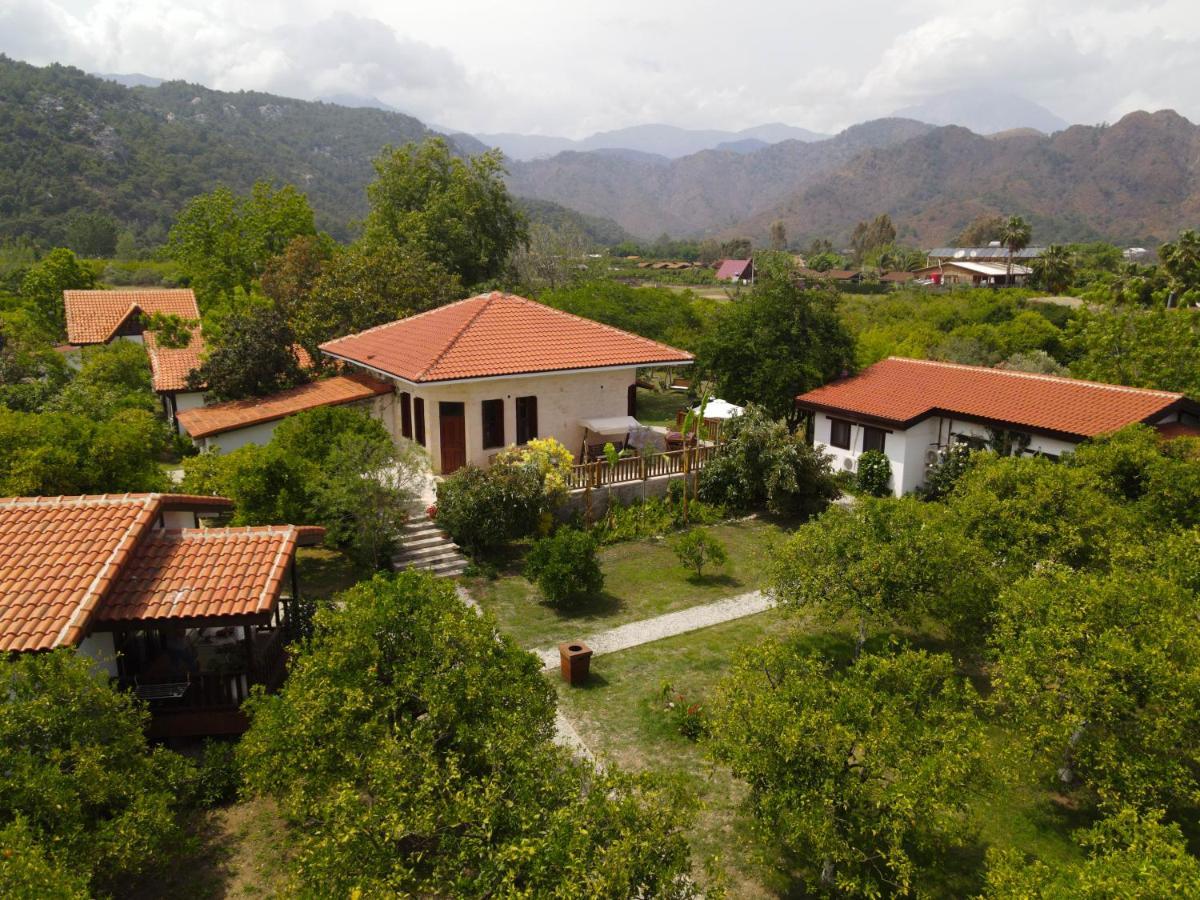 Kimera - Akdeniz Bahcesi Apart Hotel Çıralı 외부 사진