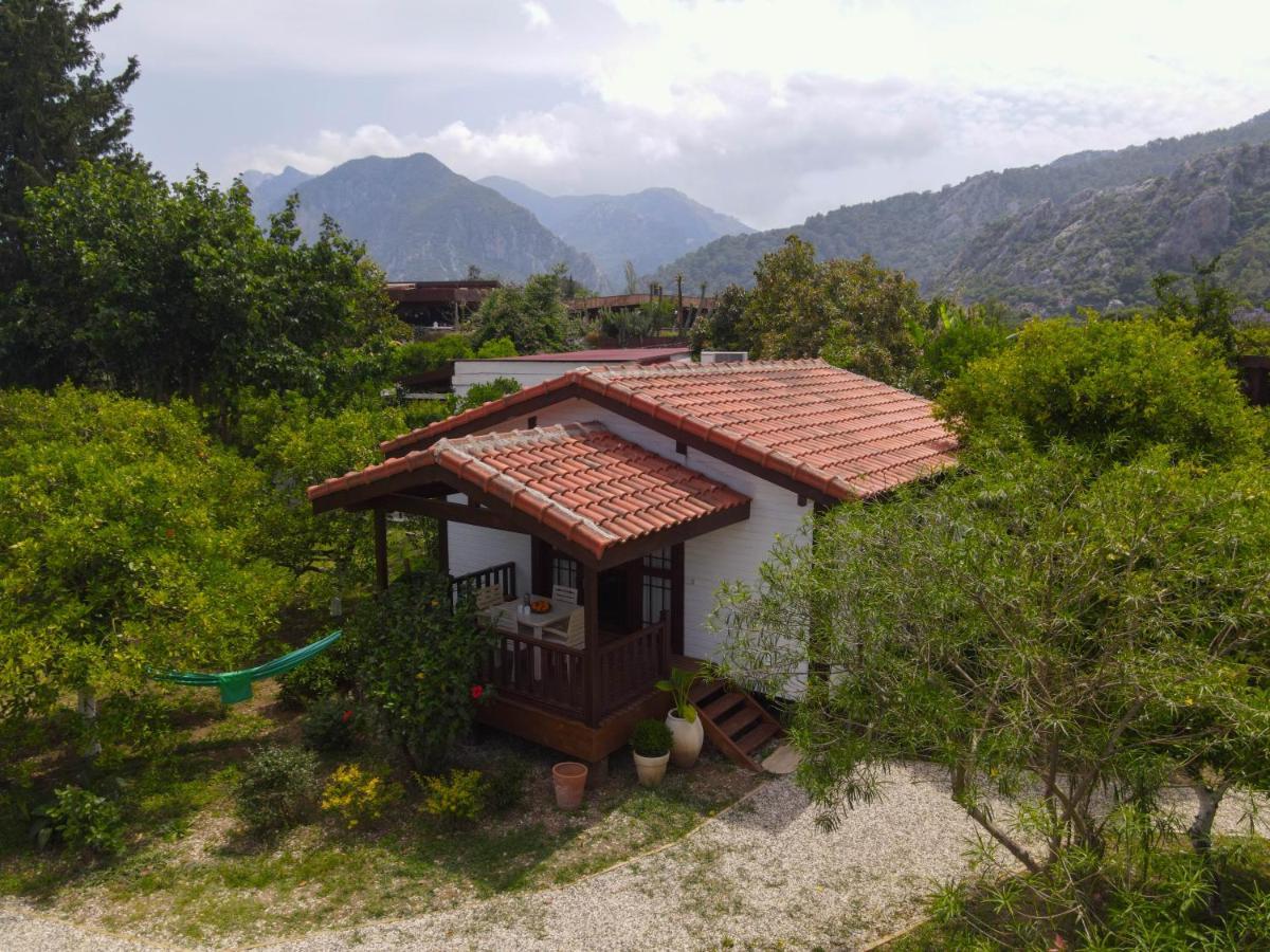 Kimera - Akdeniz Bahcesi Apart Hotel Çıralı 외부 사진