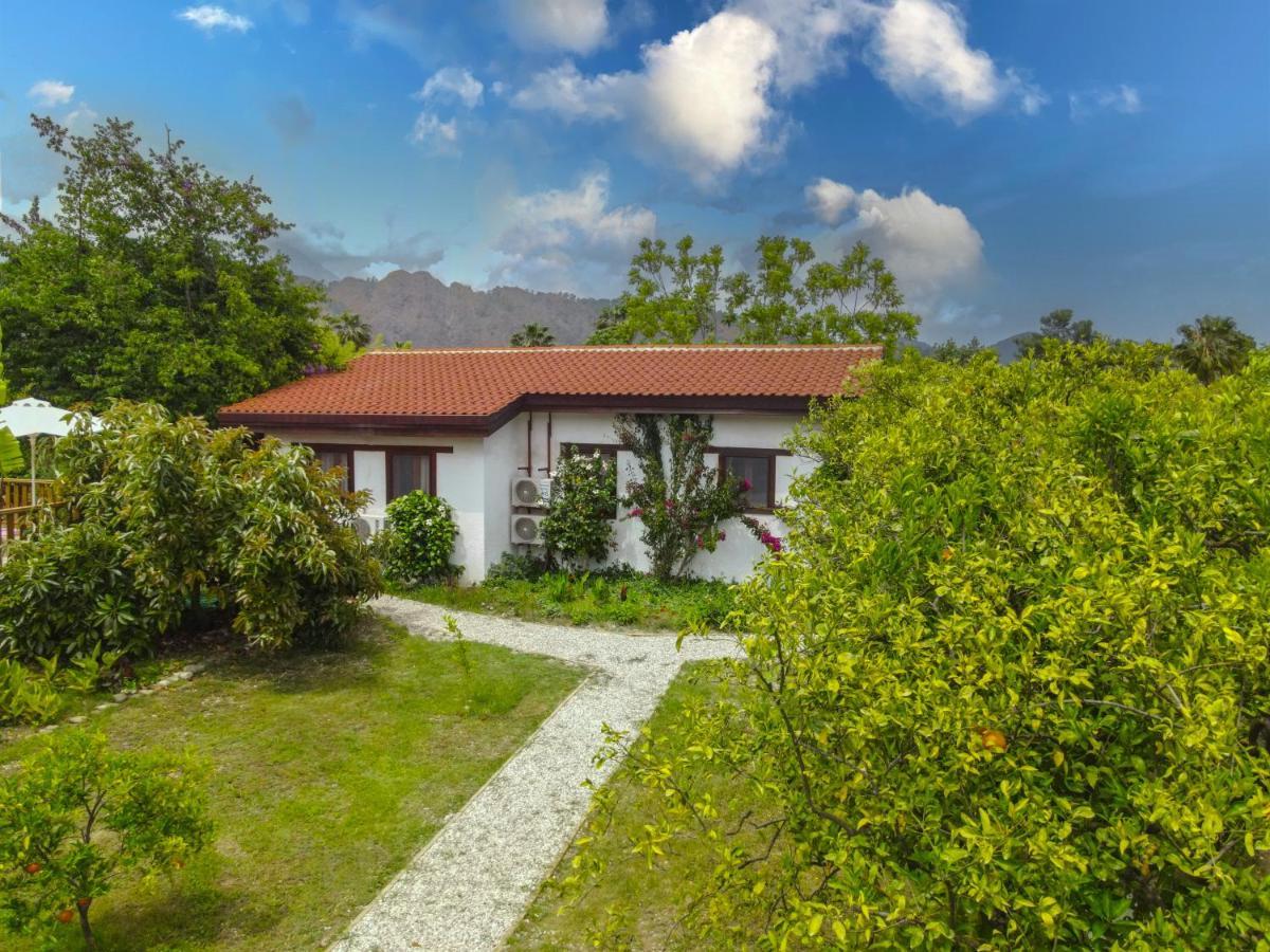 Kimera - Akdeniz Bahcesi Apart Hotel Çıralı 외부 사진