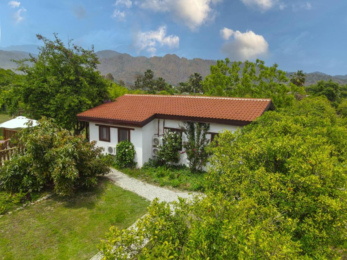 Kimera - Akdeniz Bahcesi Apart Hotel Çıralı 외부 사진