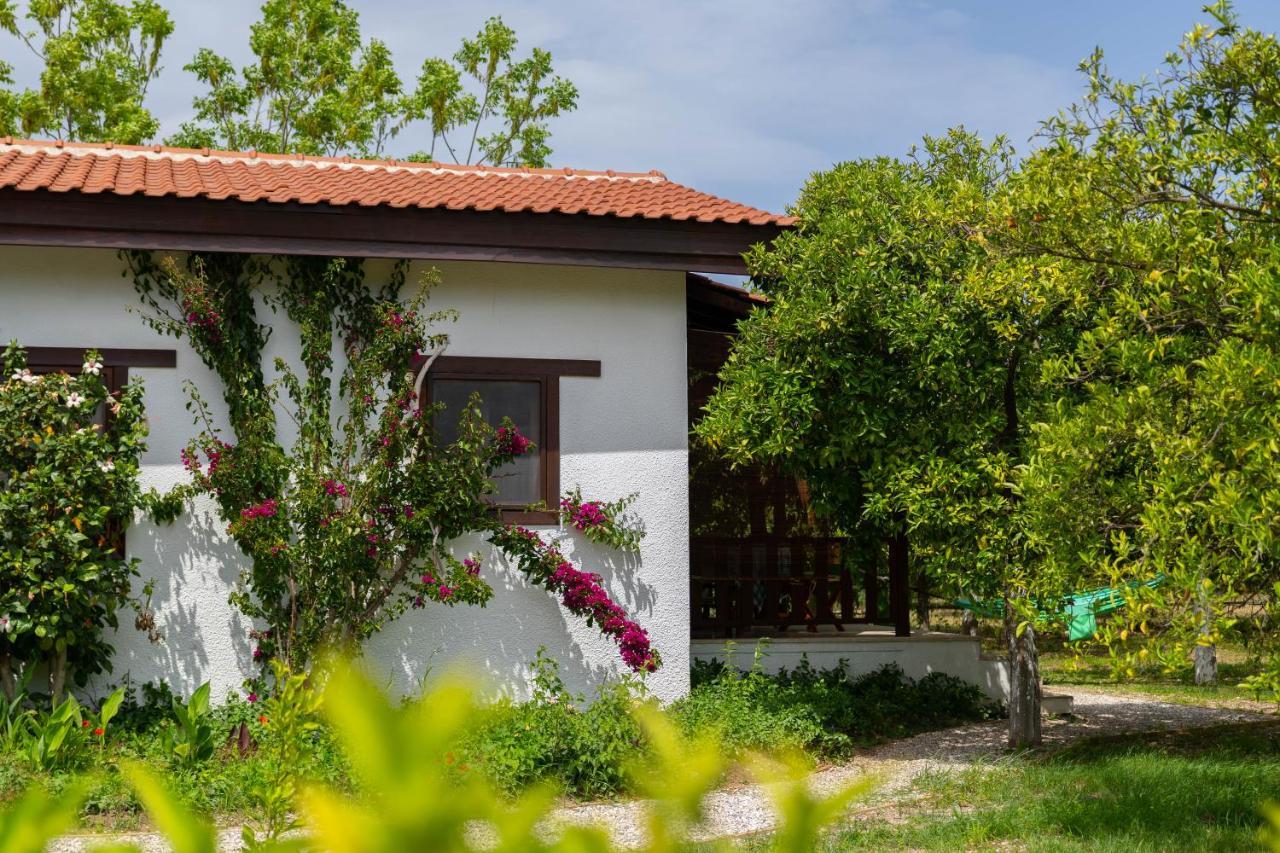 Kimera - Akdeniz Bahcesi Apart Hotel Çıralı 외부 사진